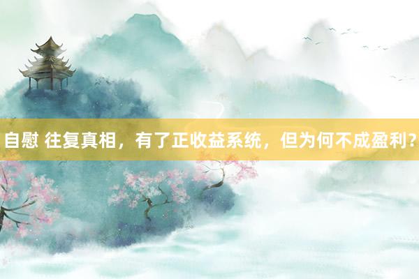自慰 往复真相,有了正收益系统,但为何不成盈利?