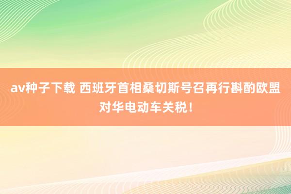 av种子下载 西班牙首相桑切斯号召再行斟酌欧盟对华电动车关税！