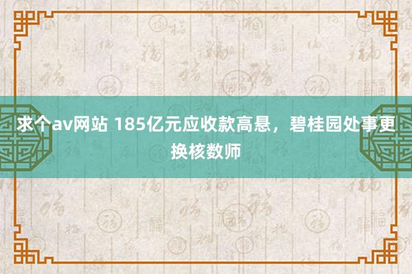 求个av网站 185亿元应收款高悬，碧桂园处事更换核数师