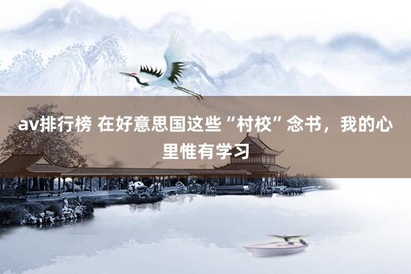 av排行榜 在好意思国这些“村校”念书，我的心里惟有学习