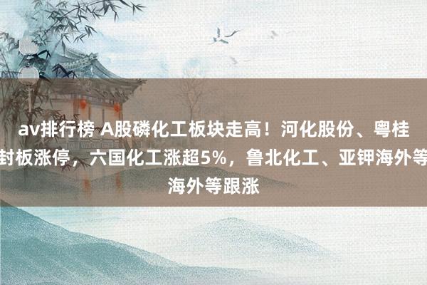 av排行榜 A股磷化工板块走高！河化股份、粤桂股份封板涨停，六国化工涨超5%，鲁北化工、亚钾海外等跟涨