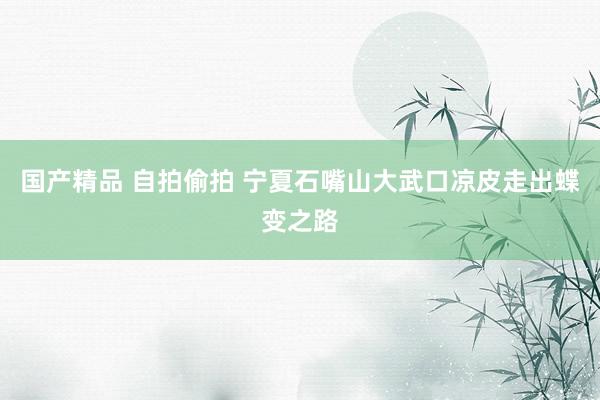国产精品 自拍偷拍 宁夏石嘴山大武口凉皮走出蝶变之路