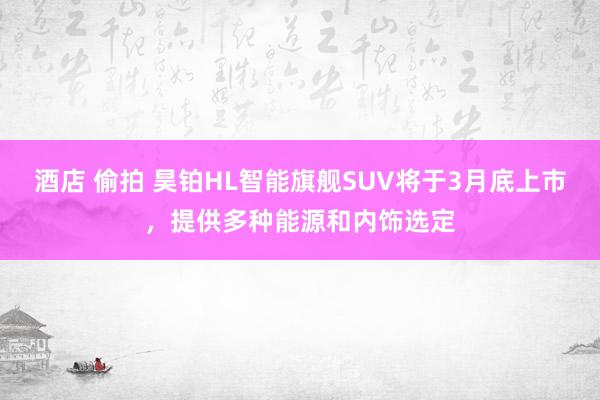 酒店 偷拍 昊铂HL智能旗舰SUV将于3月底上市，提供多种能源和内饰选定