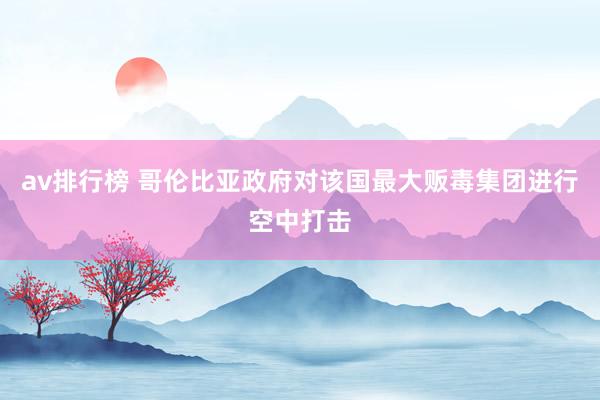 av排行榜 哥伦比亚政府对该国最大贩毒集团进行空中打击