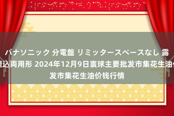 パナソニック 分電盤 リミッタースペースなし 露出・半埋込両用形 2024年12月9日寰球主要批发市集花生油价钱行情