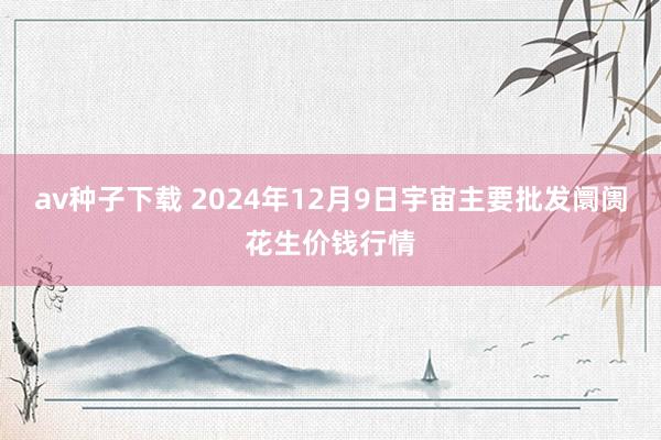 av种子下载 2024年12月9日宇宙主要批发阛阓花生价钱行情