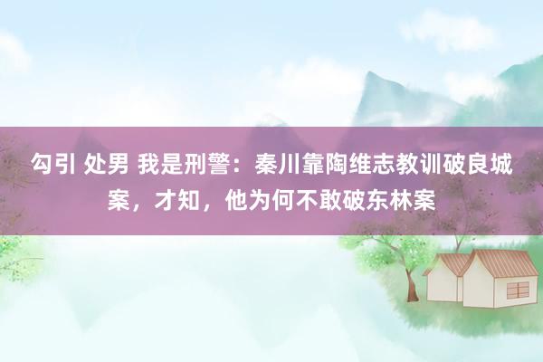 勾引 处男 我是刑警：秦川靠陶维志教训破良城案，才知，他为何不敢破东林案