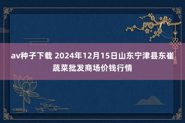 av种子下载 2024年12月15日山东宁津县东崔蔬菜批发商场价钱行情
