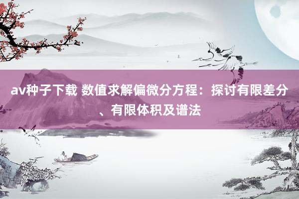 av种子下载 数值求解偏微分方程：探讨有限差分、有限体积及谱法