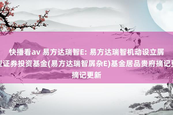 快播看av 易方达瑞智E: 易方达瑞智机动设立羼杂型证券投资基金(易方达瑞智羼杂E)基金居品贵府摘记更新