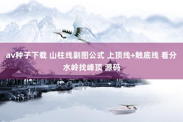 av种子下载 山柱线副图公式 上顶线+触底线 看分水岭找峰顶 源码