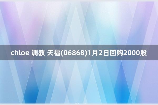 chloe 调教 天福(06868)1月2日回购2000股