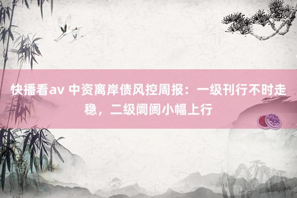 快播看av 中资离岸债风控周报：一级刊行不时走稳，二级阛阓小幅上行