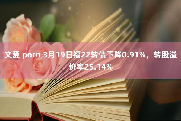 文爱 porn 3月19日福22转债下降0.91%，转股溢价率25.14%