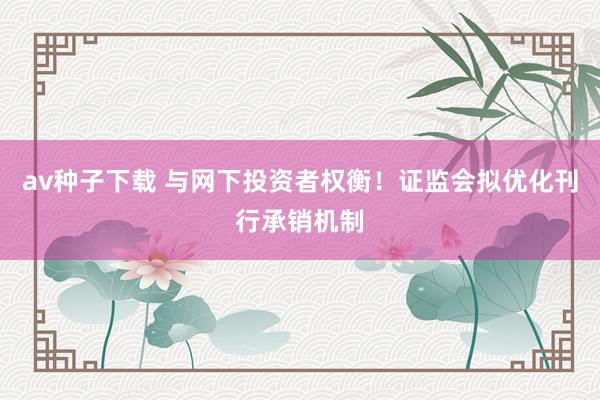av种子下载 与网下投资者权衡！证监会拟优化刊行承销机制