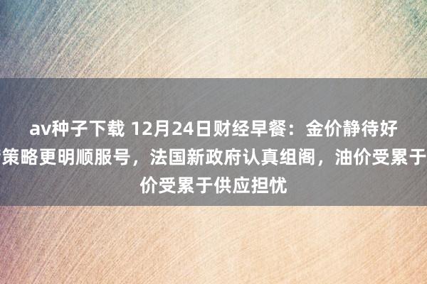 av种子下载 12月24日财经早餐：金价静待好意思联储策略更明顺服号，法国新政府认真组阁，油价受累于供应担忧