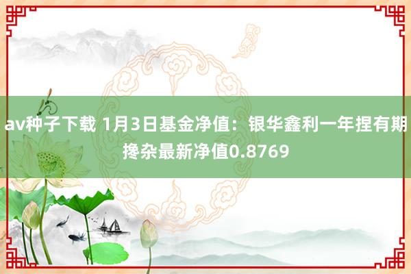av种子下载 1月3日基金净值：银华鑫利一年捏有期搀杂最新净值0.8769