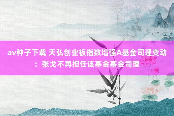 av种子下载 天弘创业板指数增强A基金司理变动：张戈不再担任该基金基金司理