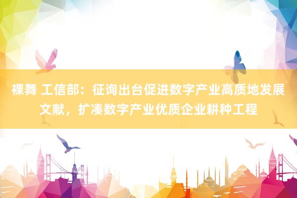 裸舞 工信部：征询出台促进数字产业高质地发展文献，扩凑数字产业优质企业耕种工程