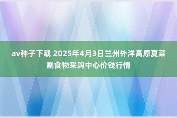 av种子下载 2025年4月3日兰州外洋高原夏菜副食物采购中心价钱行情