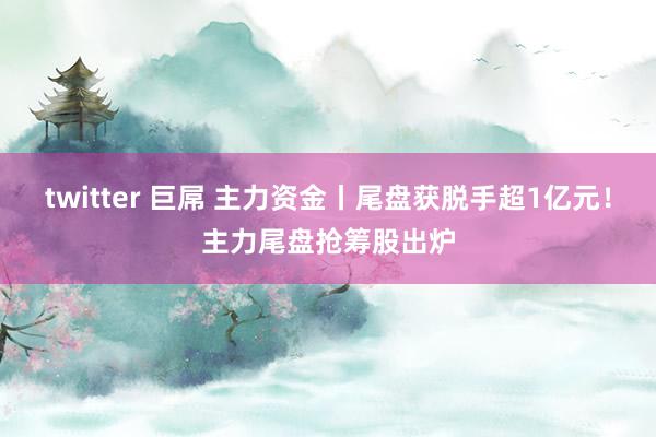 twitter 巨屌 主力资金丨尾盘获脱手超1亿元！主力尾盘抢筹股出炉