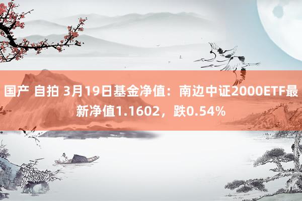 国产 自拍 3月19日基金净值：南边中证2000ETF最新净值1.1602，跌0.54%