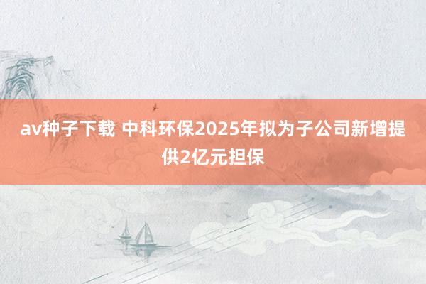 av种子下载 中科环保2025年拟为子公司新增提供2亿元担保