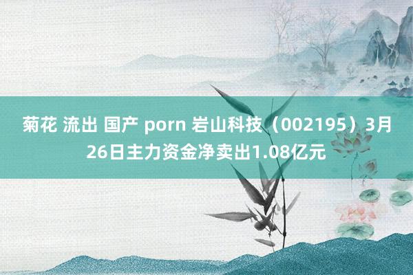 菊花 流出 国产 porn 岩山科技（002195）3月26日主力资金净卖出1.08亿元