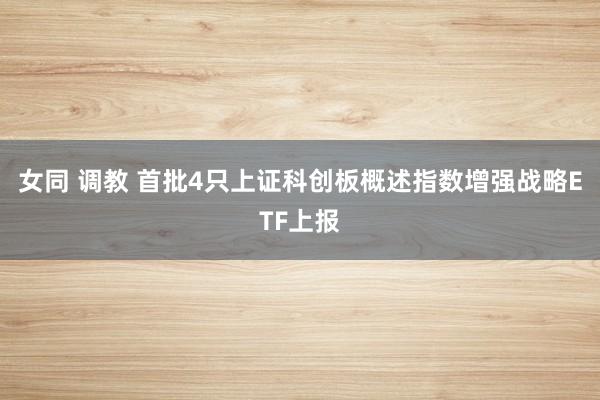 女同 调教 首批4只上证科创板概述指数增强战略ETF上报