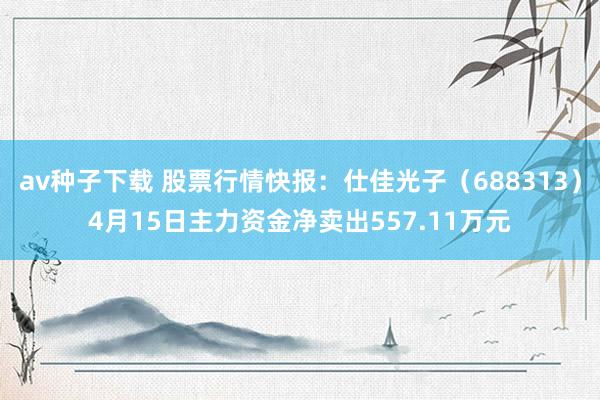 av种子下载 股票行情快报：仕佳光子（688313）4月15日主力资金净卖出557.11万元