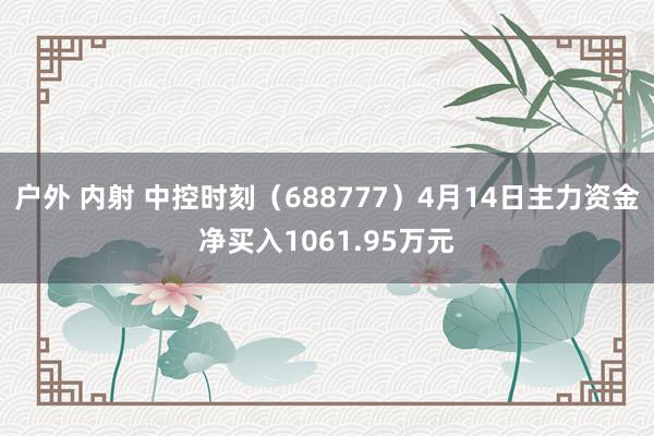 户外 内射 中控时刻（688777）4月14日主力资金净买入1061.95万元