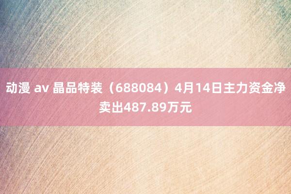 动漫 av 晶品特装（688084）4月14日主力资金净卖出487.89万元