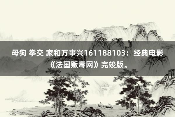 母狗 拳交 家和万事兴161188103：经典电影《法国贩毒网》完竣版。