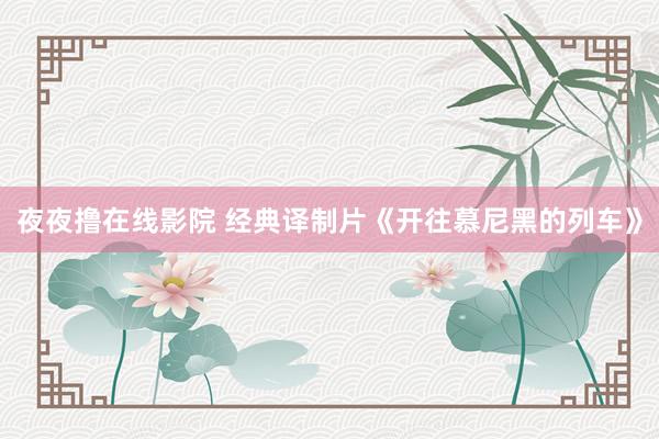 夜夜撸在线影院 经典译制片《开往慕尼黑的列车》